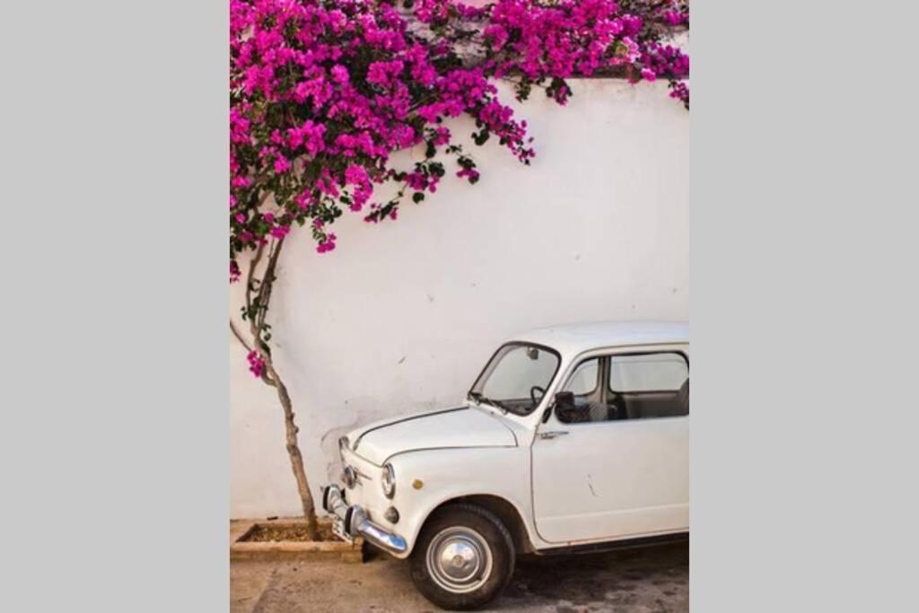 Mojacar Pueblo - Traditional Village House - The Old Jewish Quarter Екстер'єр фото